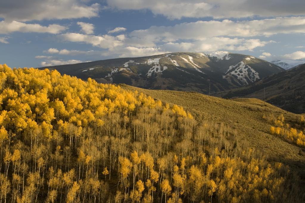 The Christie Lodge - All Suite Property Vail Valley/Beaver Creek Avon Eksteriør bilde